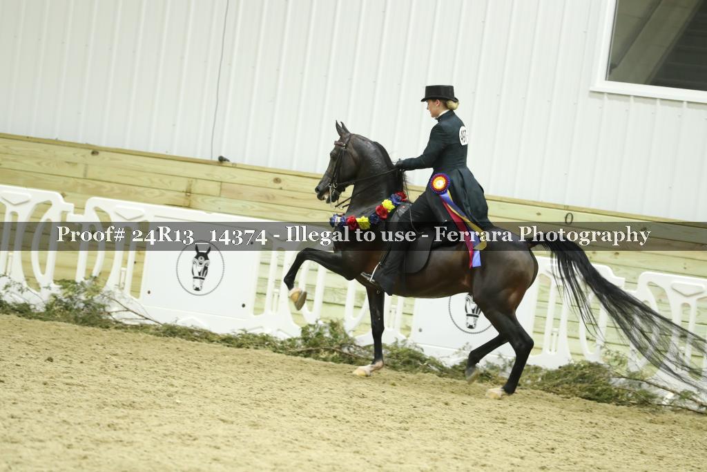 Proof Number 24R13_14374