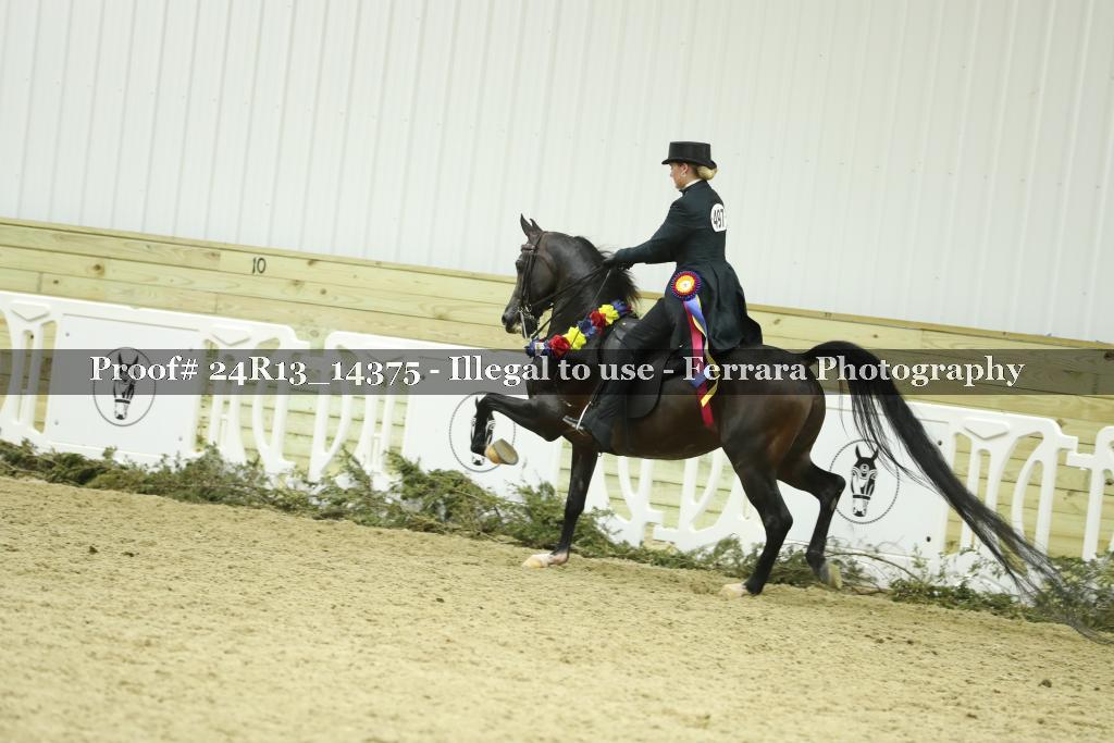 Proof Number 24R13_14375