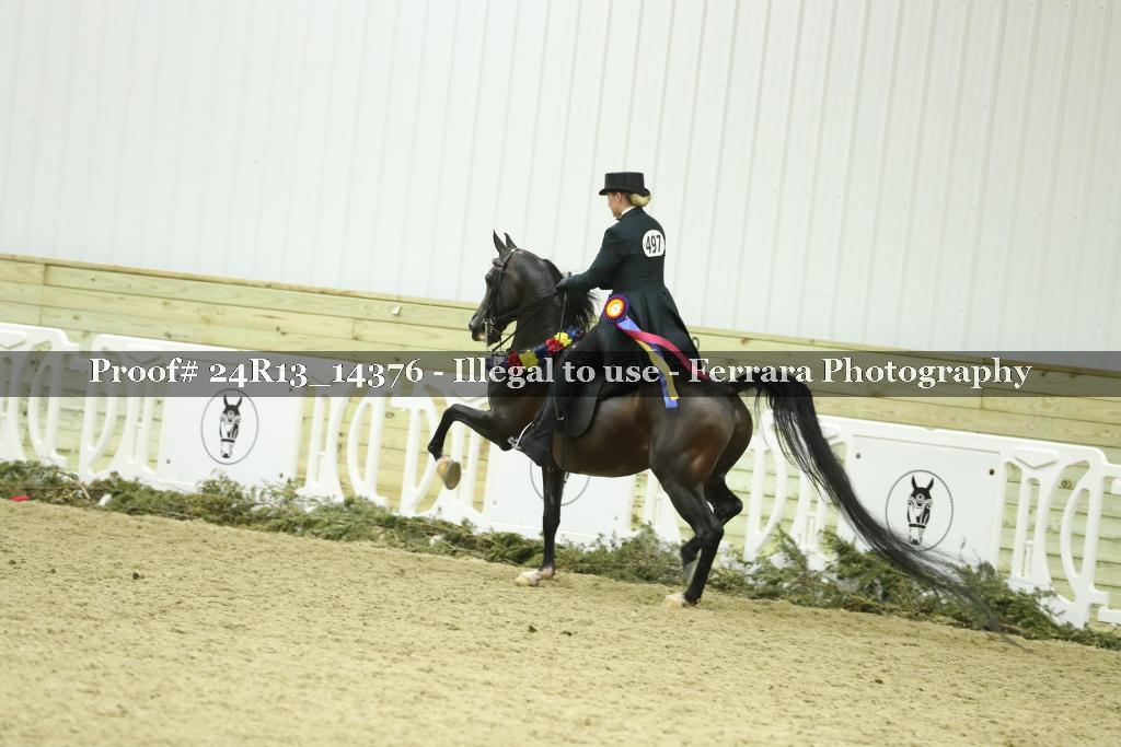Proof Number 24R13_14376