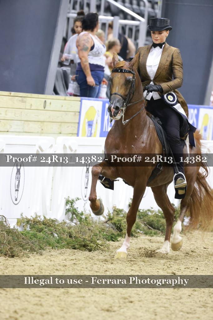 Proof Number 24R13_14382