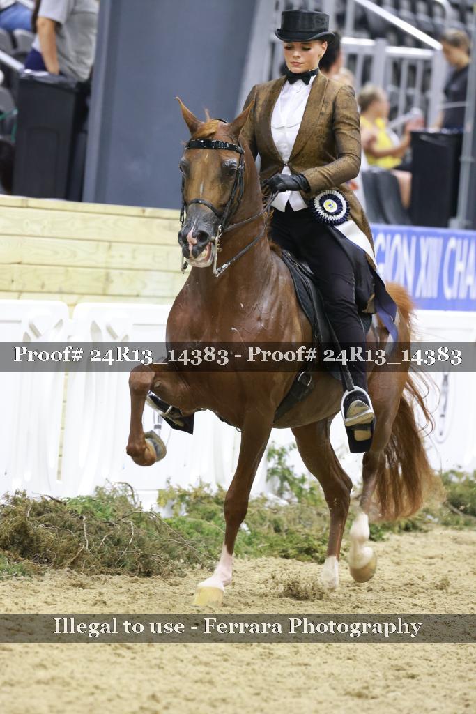Proof Number 24R13_14383