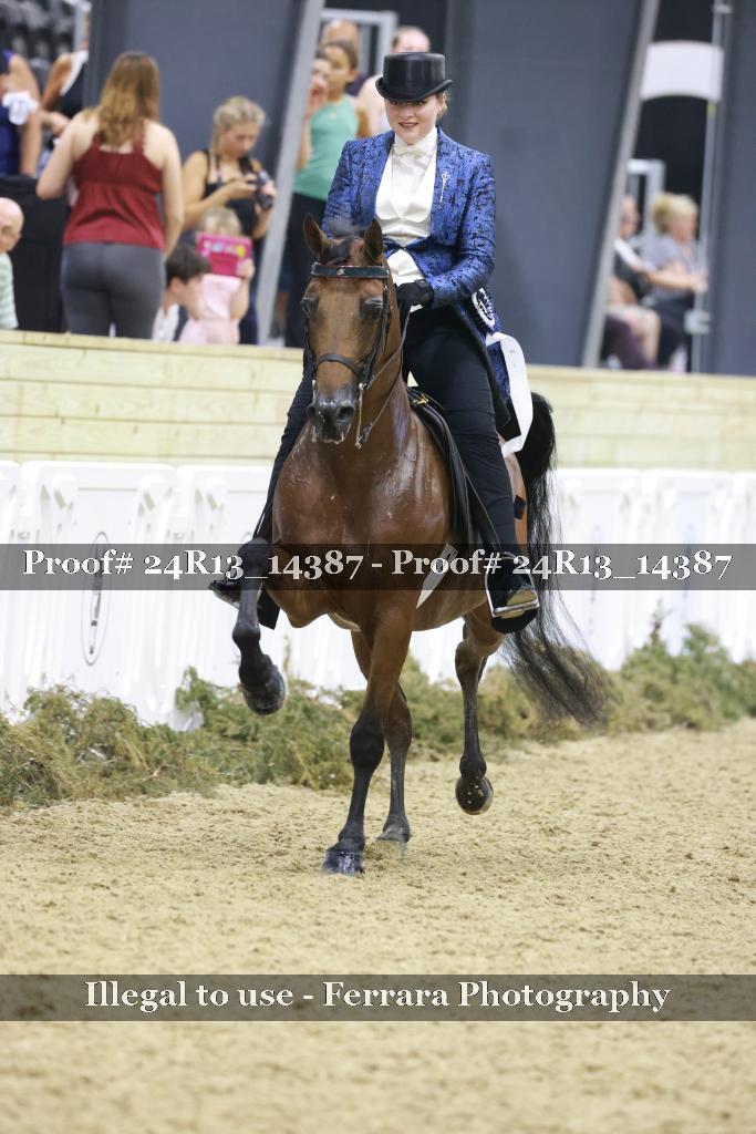 Proof Number 24R13_14387