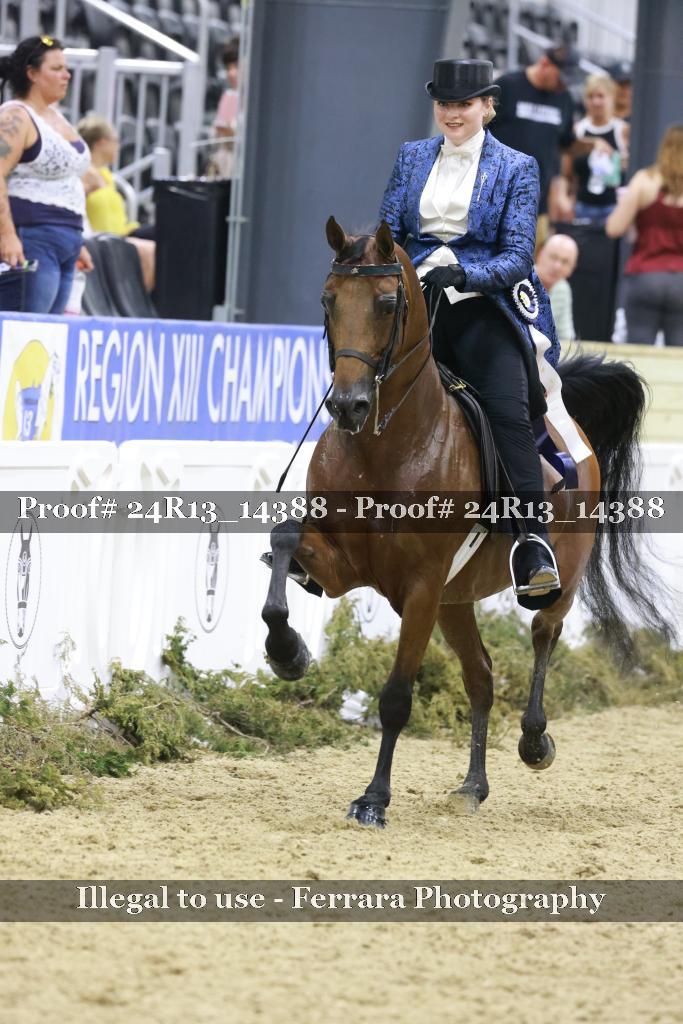 Proof Number 24R13_14388