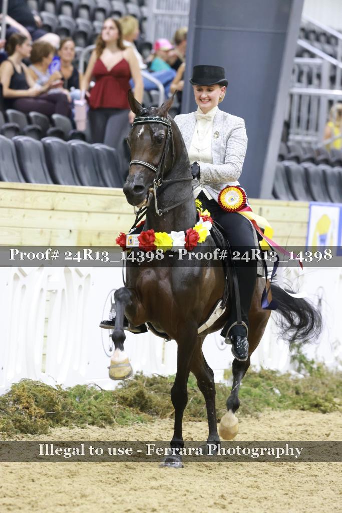 Proof Number 24R13_14398