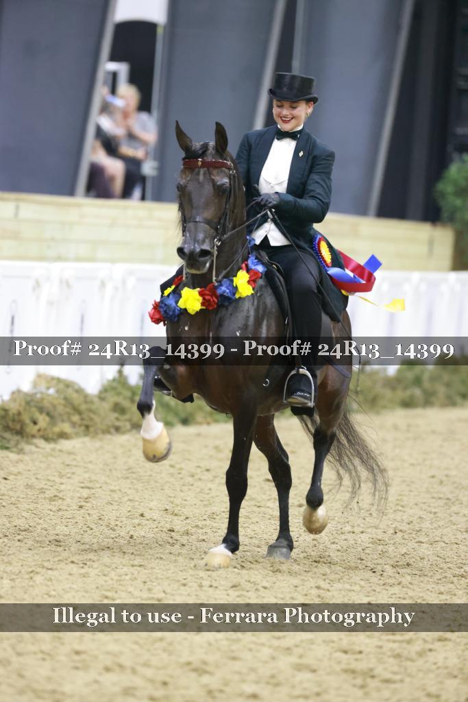 Proof Number 24R13_14399