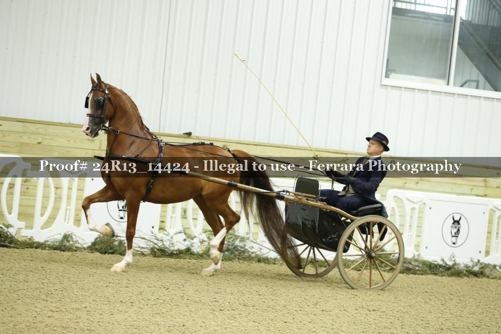 Proof Number 24R13_14424