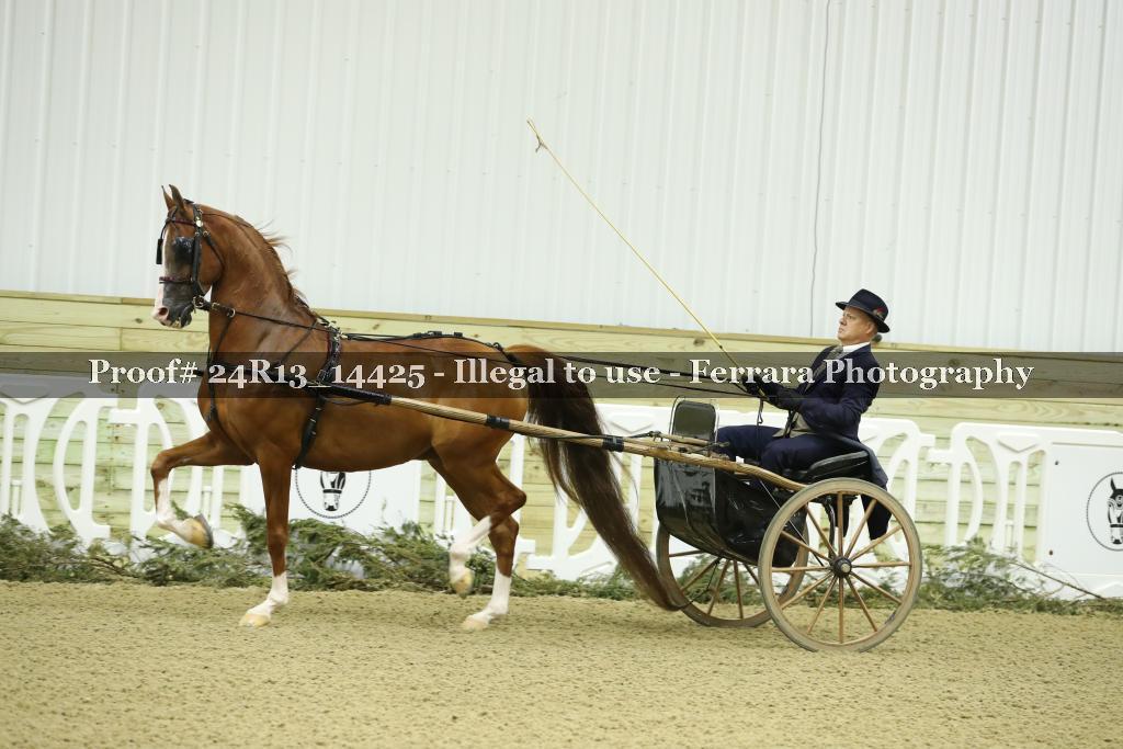 Proof Number 24R13_14425