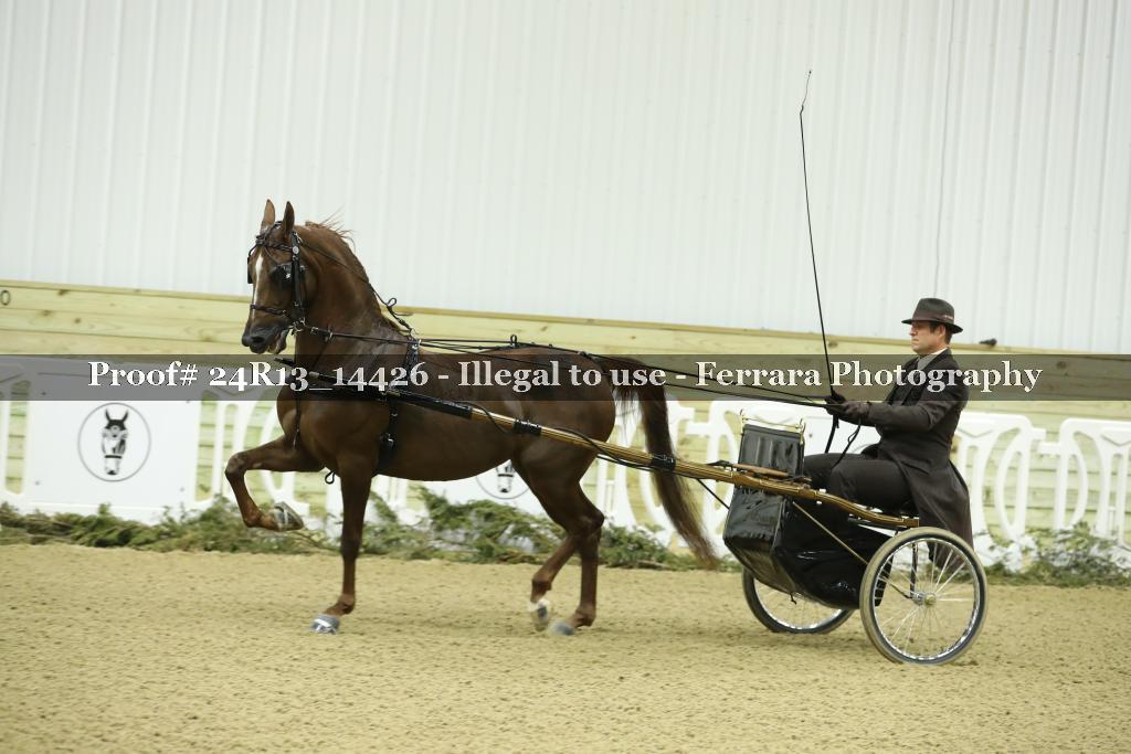 Proof Number 24R13_14426