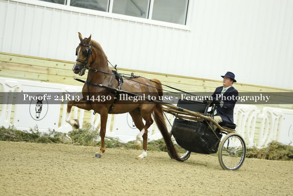 Proof Number 24R13_14430
