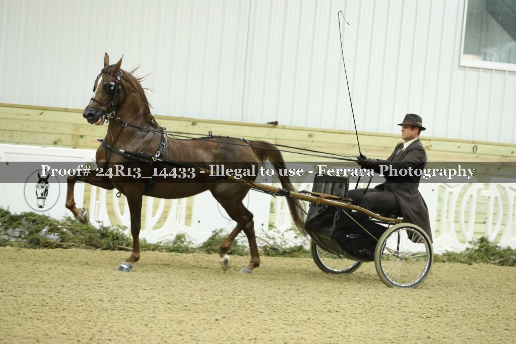 Proof Number 24R13_14433