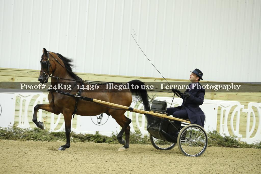 Proof Number 24R13_14436