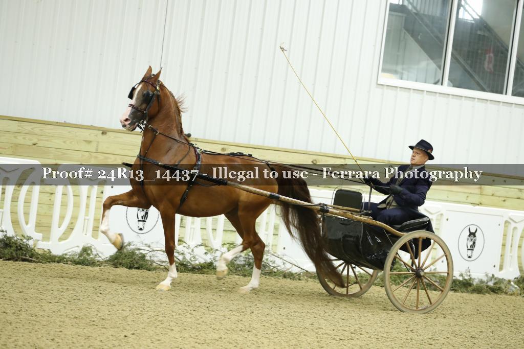 Proof Number 24R13_14437
