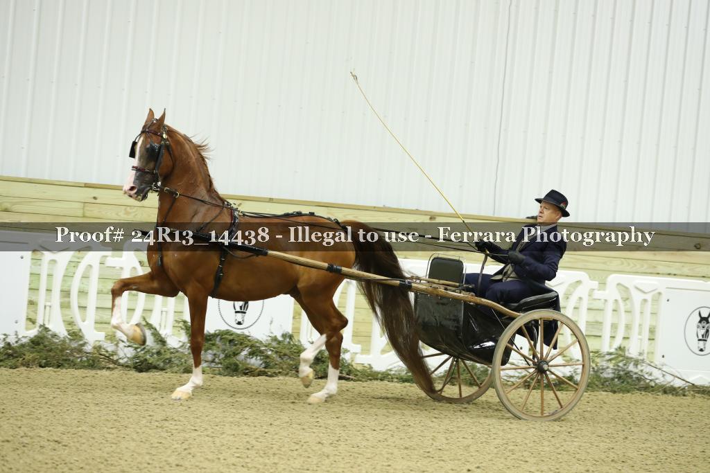 Proof Number 24R13_14438