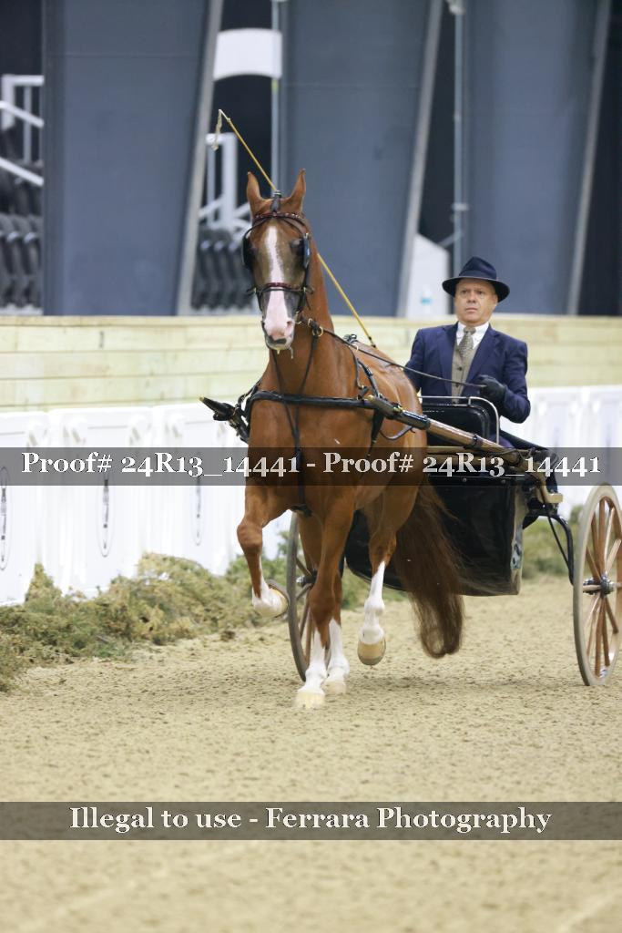 Proof Number 24R13_14441