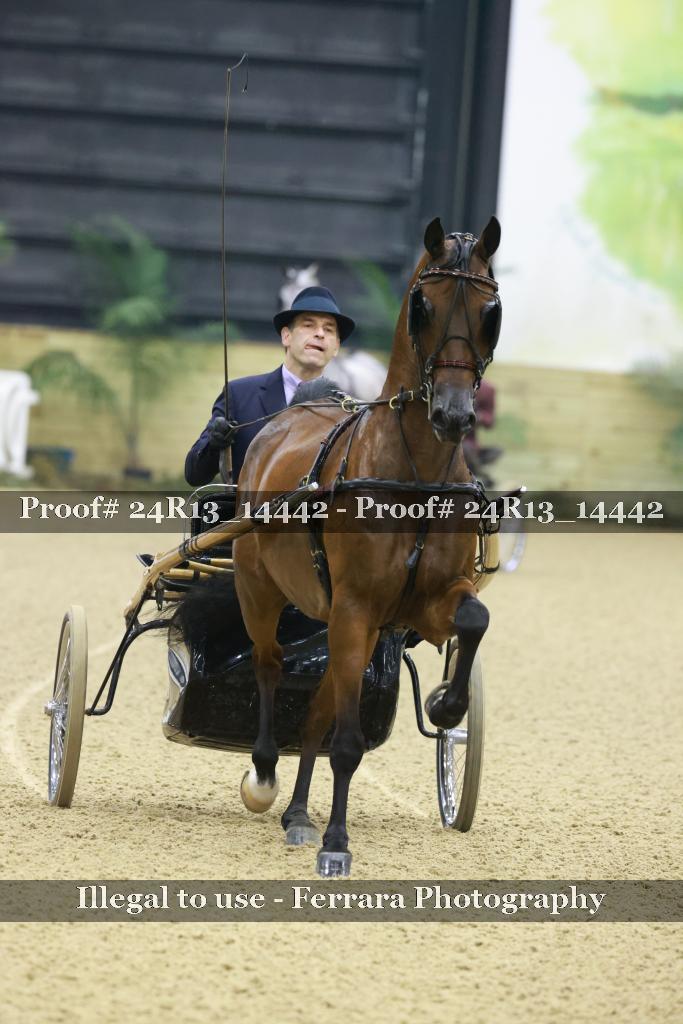Proof Number 24R13_14442