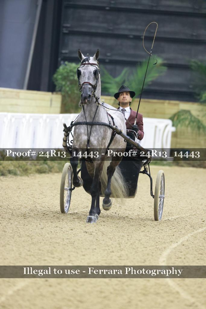 Proof Number 24R13_14443