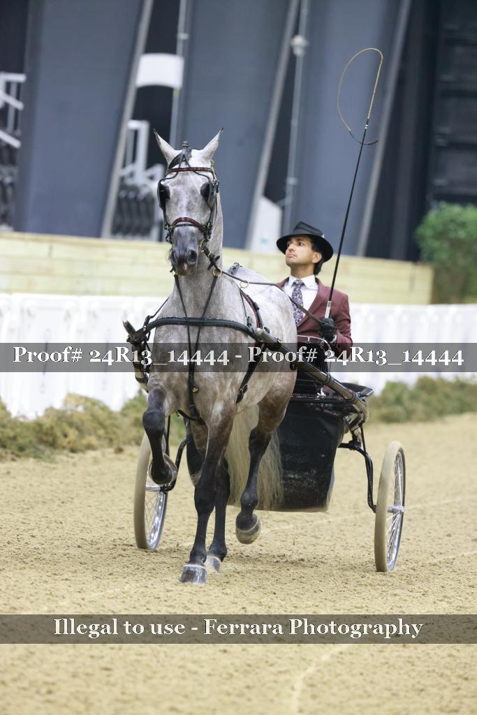 Proof Number 24R13_14444