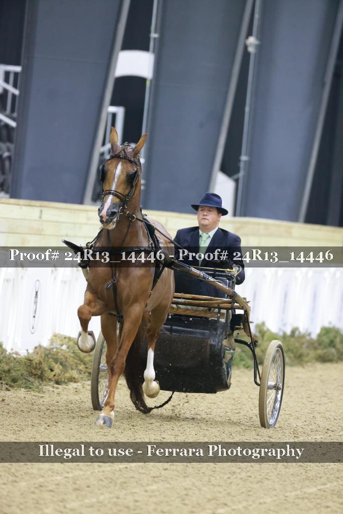 Proof Number 24R13_14446