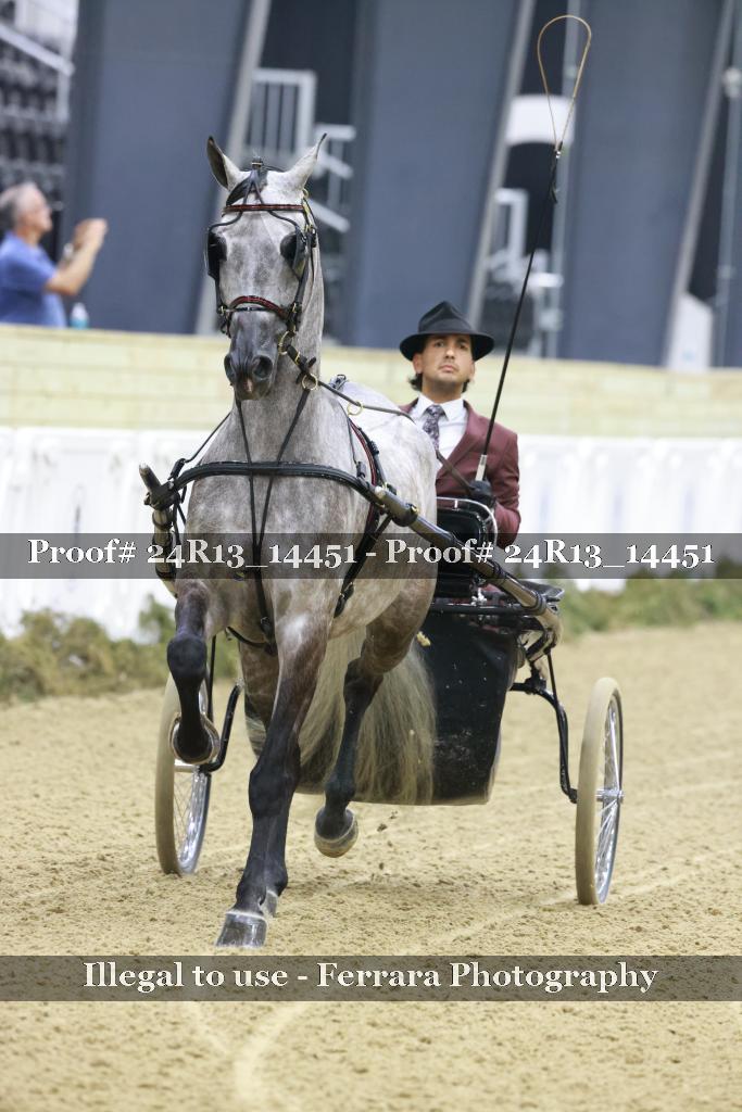 Proof Number 24R13_14451
