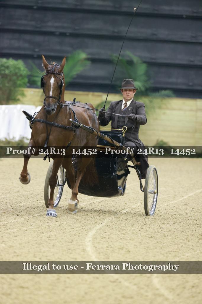Proof Number 24R13_14452