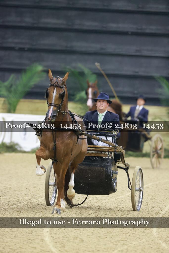 Proof Number 24R13_14453
