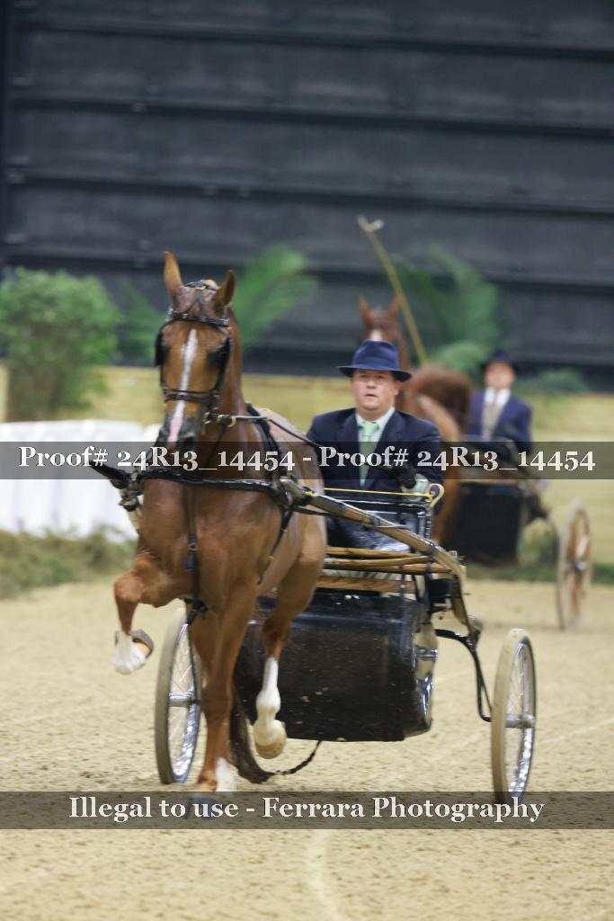 Proof Number 24R13_14454