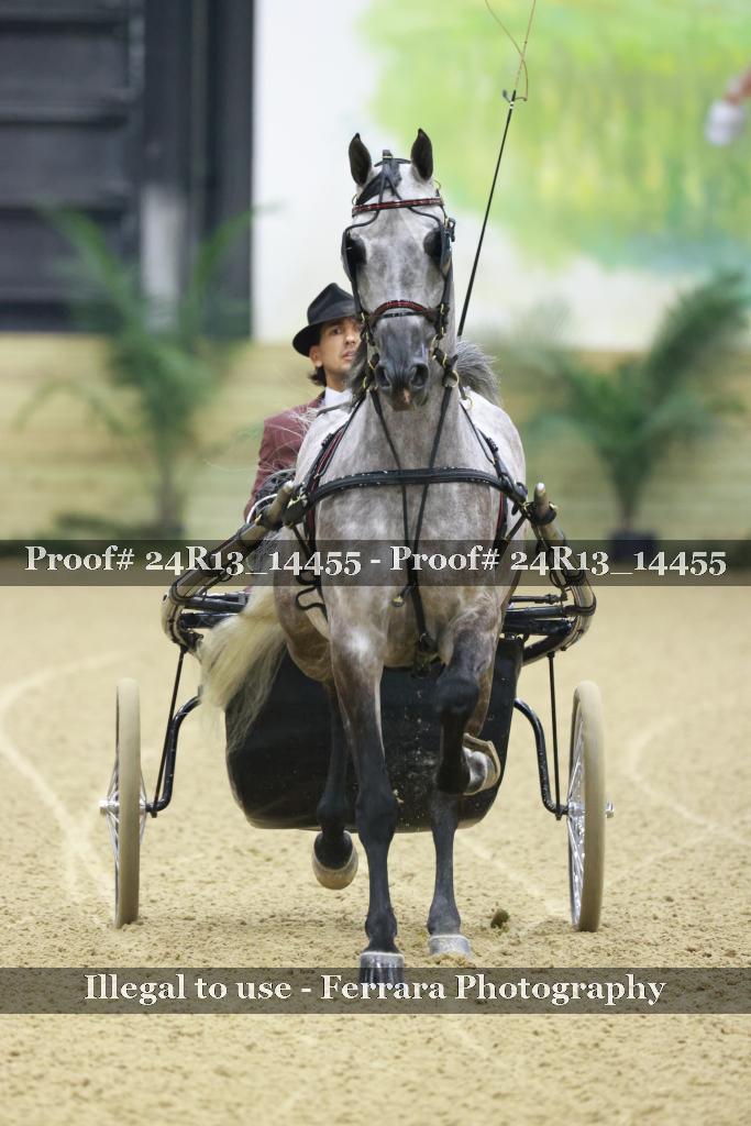Proof Number 24R13_14455