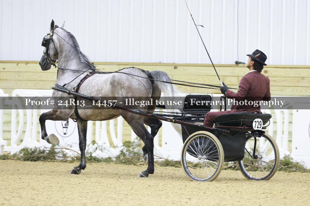 Proof Number 24R13_14457