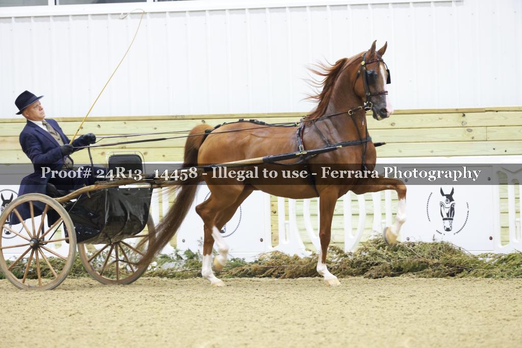 Proof Number 24R13_14458