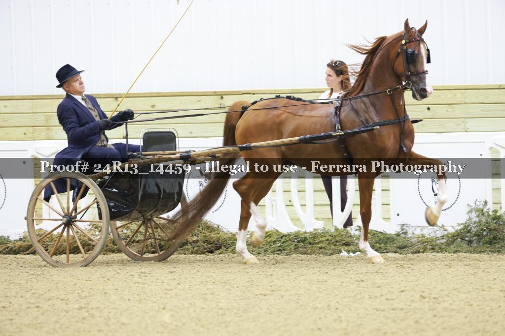 Proof Number 24R13_14459