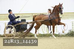 24R13_14459 thumbnail