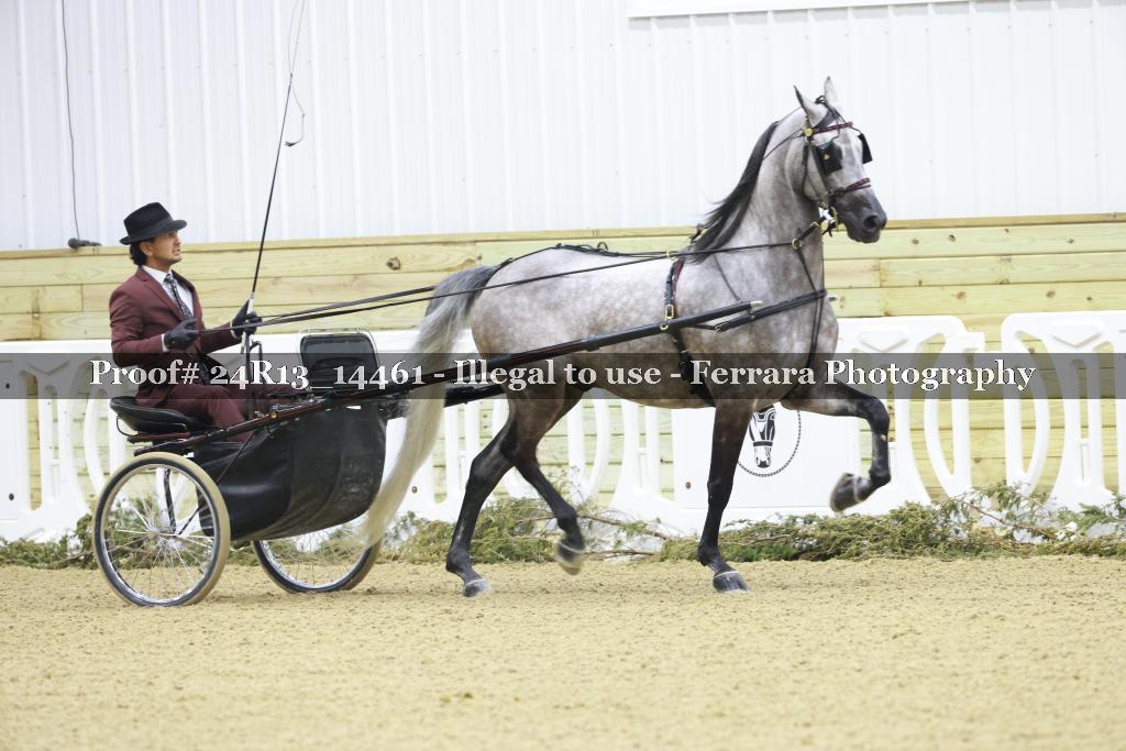 Proof Number 24R13_14461