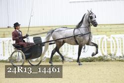 24R13_14461 thumbnail