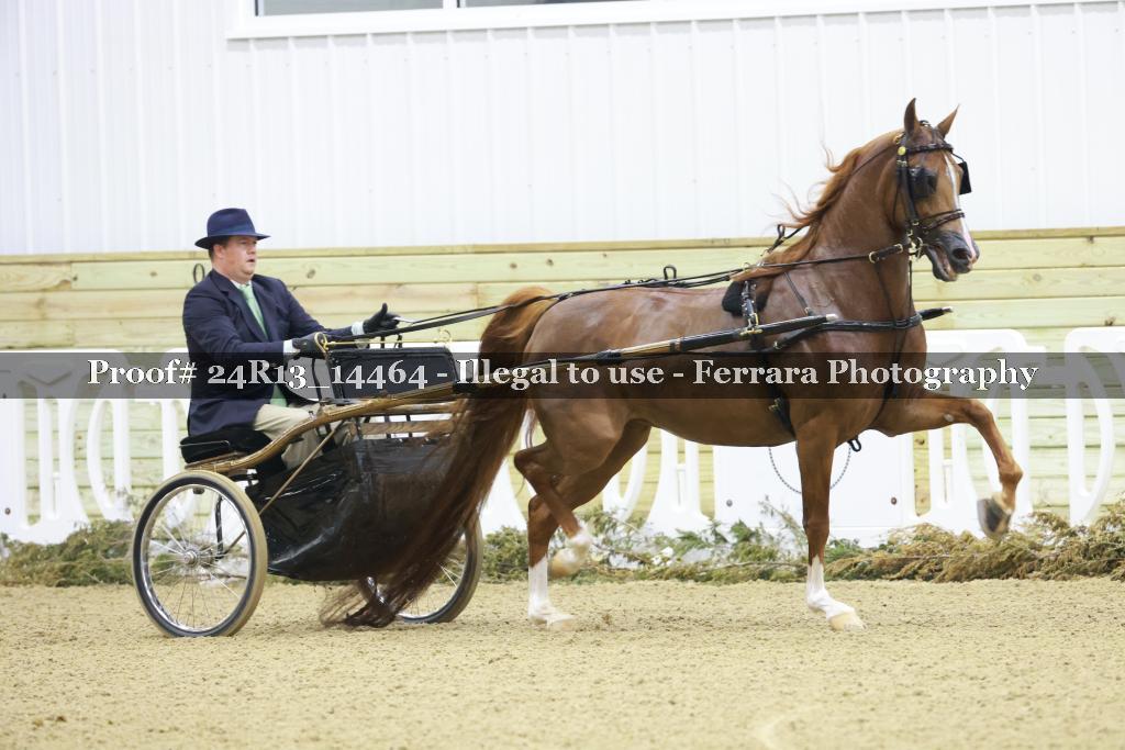 Proof Number 24R13_14464
