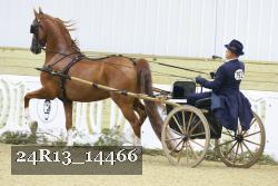 24R13_14466 thumbnail