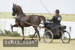 24R13_14467 thumbnail