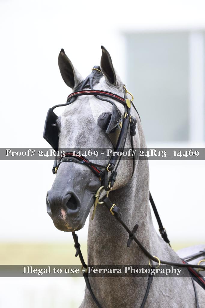 Proof Number 24R13_14469