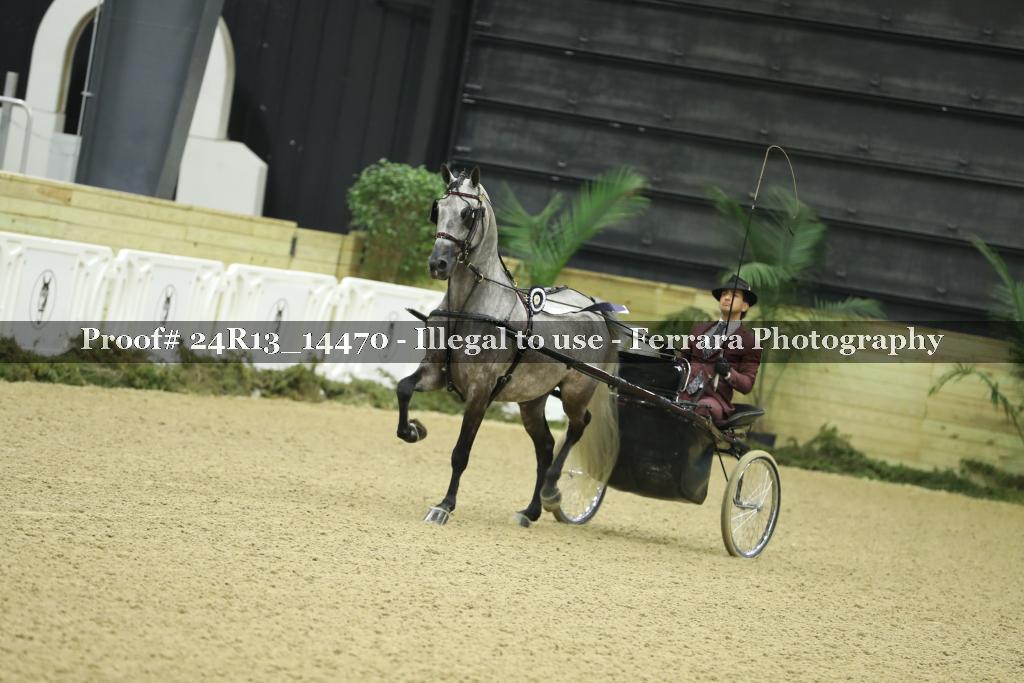 Proof Number 24R13_14470
