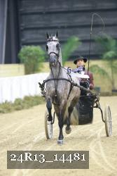 24R13_14481 thumbnail