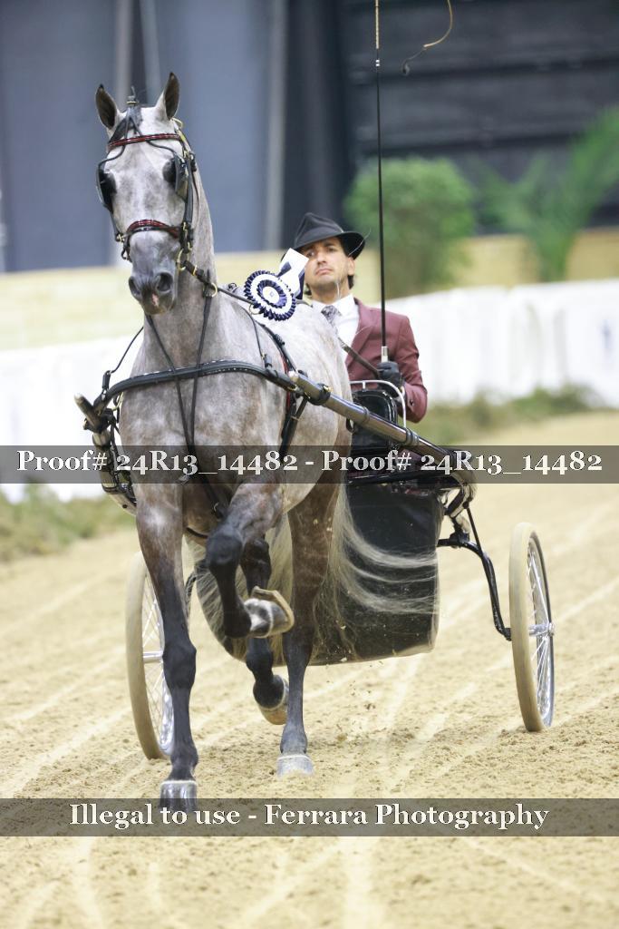 Proof Number 24R13_14482