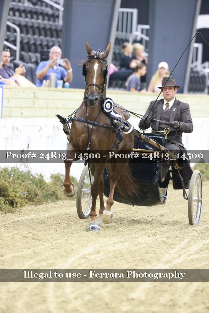 Proof Number 24R13_14500