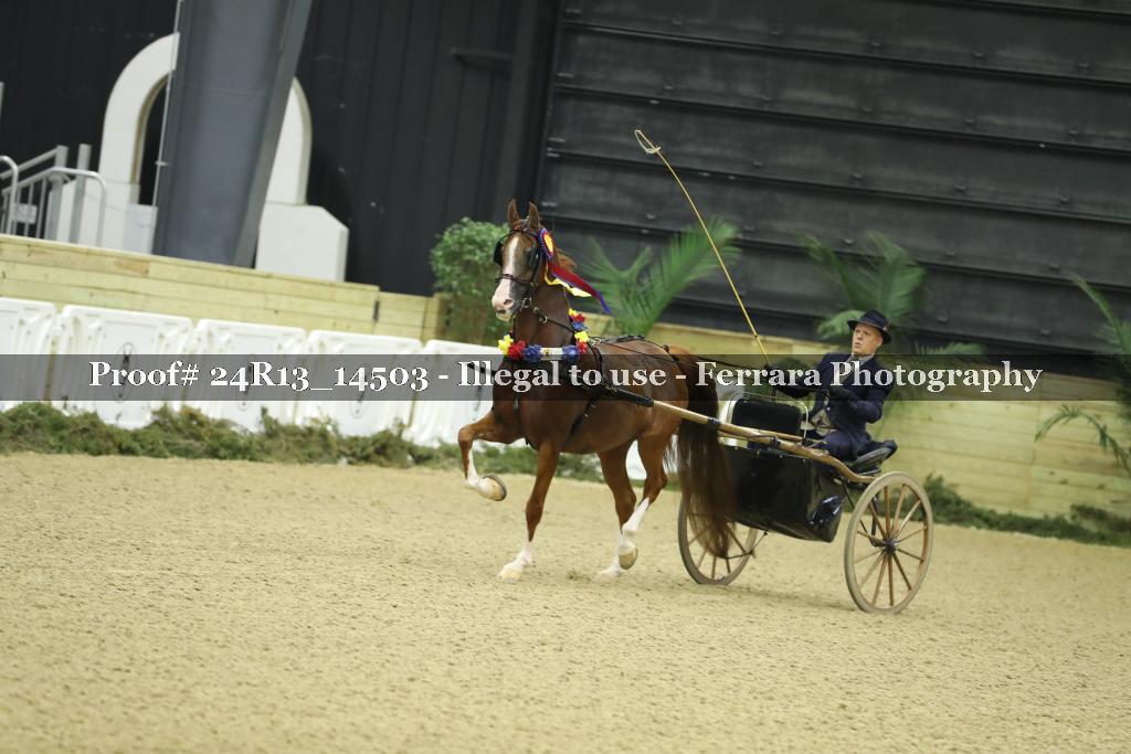 Proof Number 24R13_14503