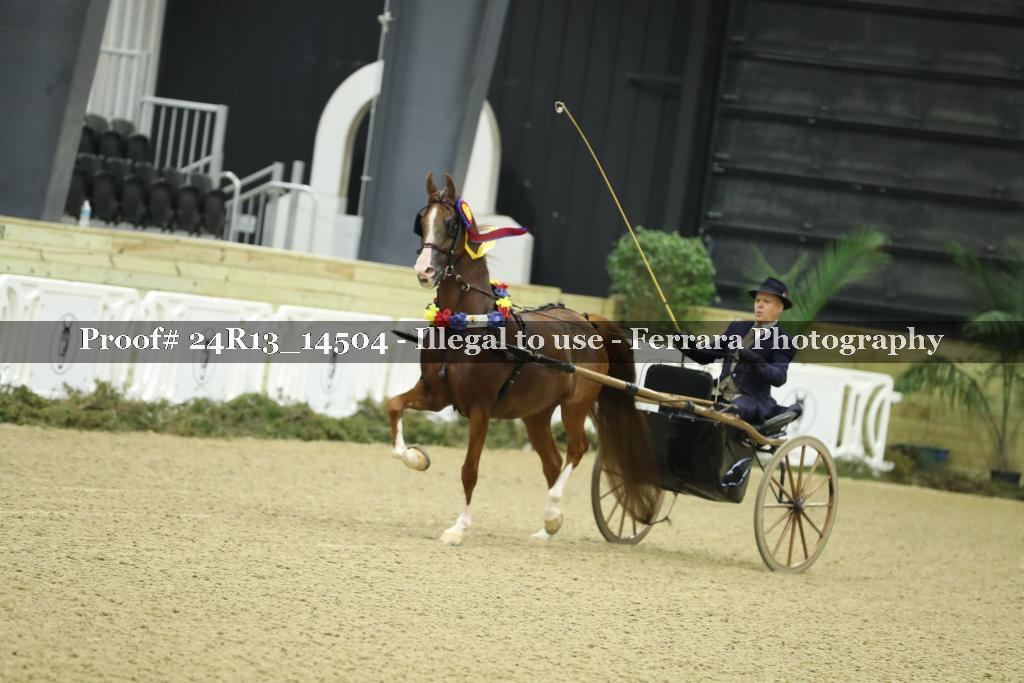 Proof Number 24R13_14504