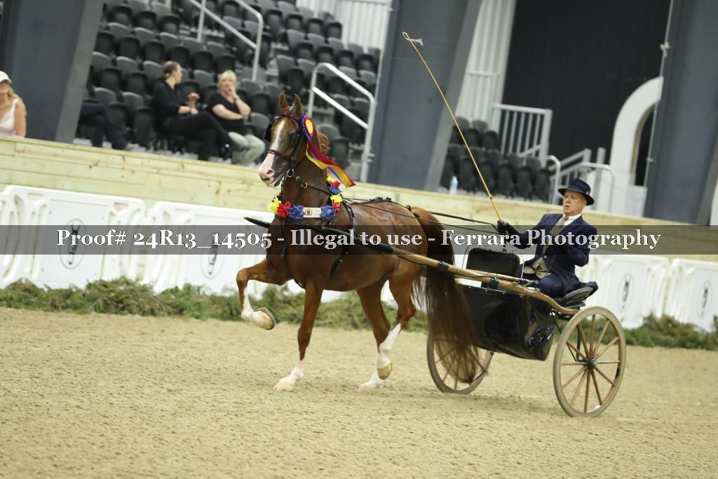 Proof Number 24R13_14505