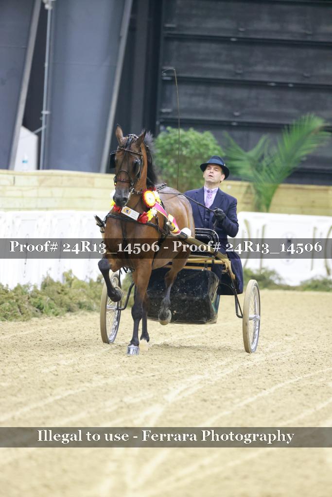 Proof Number 24R13_14506