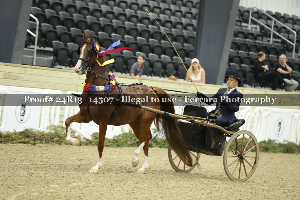 Proof Number 24R13_14507