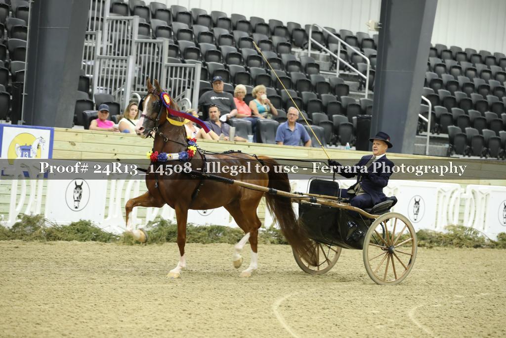 Proof Number 24R13_14508