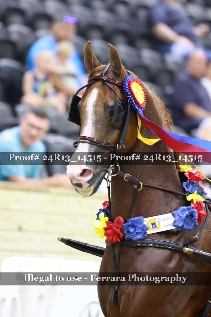 Proof Number 24R13_14515