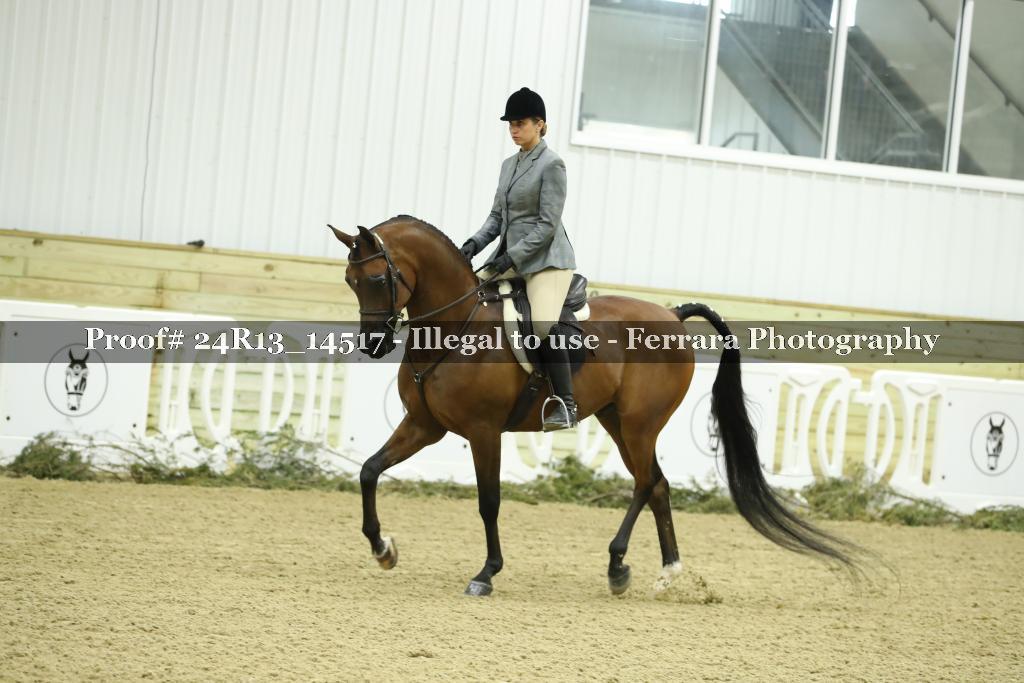 Proof Number 24R13_14517