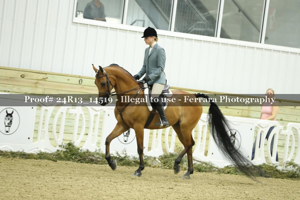 Proof Number 24R13_14519